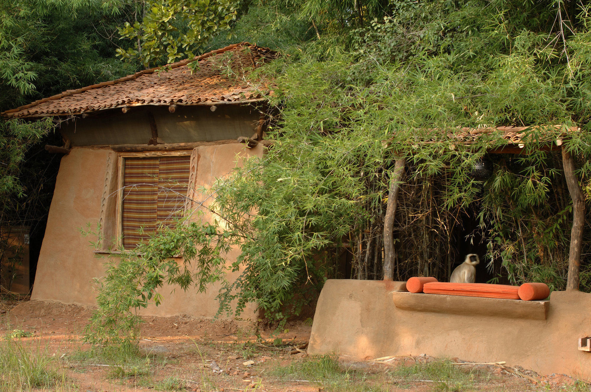 ホテル Mahua Kothi Tāla エクステリア 写真
